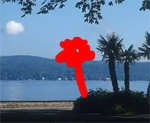 How to Remove an Unwanted Object From an Image [Video]
